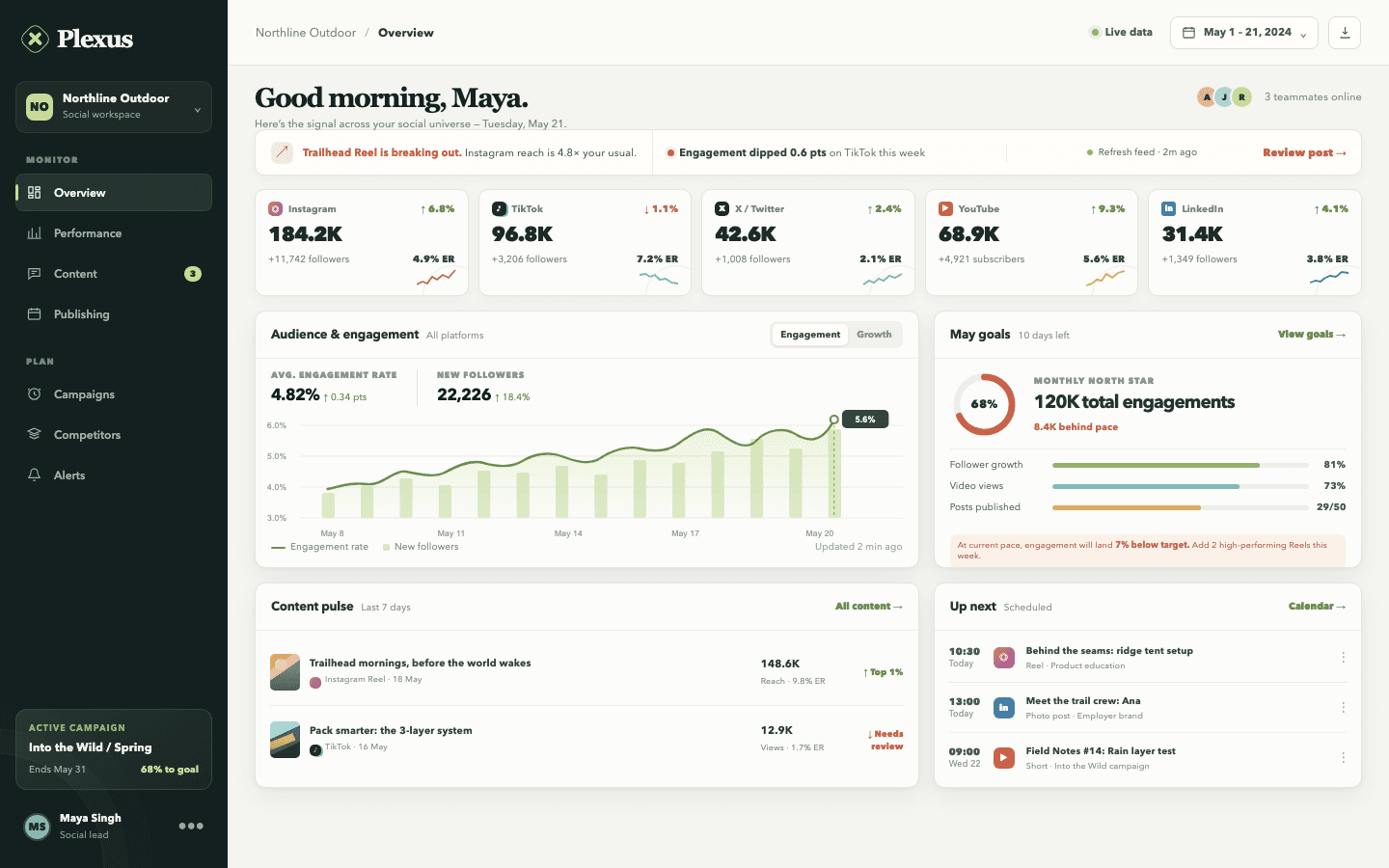 GPT-5.6 Terra Plexus dashboard output